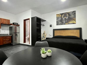 Departamento en Puerto Vallarta